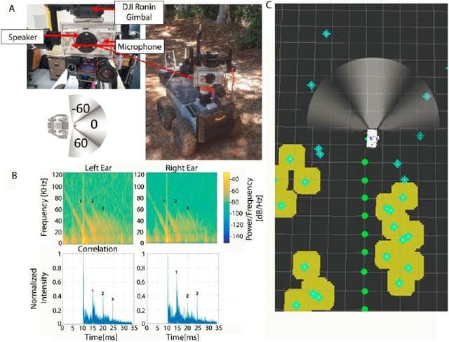 以色列特拉维夫大学：研制出模仿蝙蝠用声音定位导航的机器人！