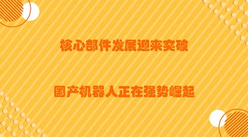 核心部件发展迎来突破，国产机器人正在强势崛起！