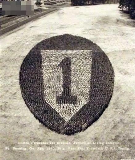 丰田叉车达成吉尼斯世界纪录！