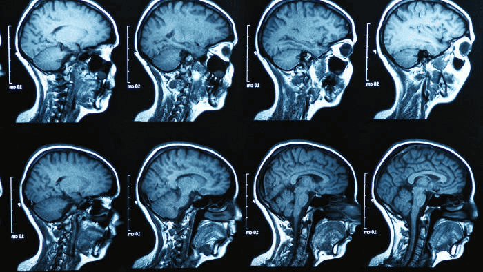 面向未来:人与机器人共存的三种理想方式