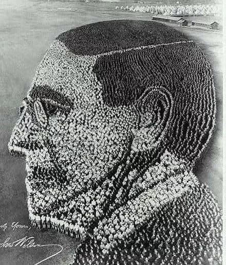 丰田叉车达成吉尼斯世界纪录！