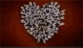 丰田叉车达成吉尼斯世界纪录！