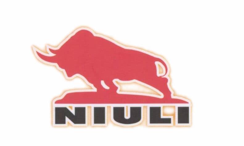 石家庄升降机厂石家庄牛力仓储设备