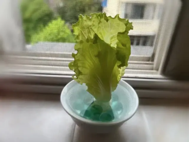 丰田叉车：什么是快乐星球？